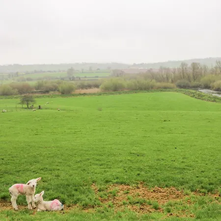 The Granary Tatil Evi Castlerichard